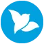 Bluebird