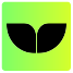 Evergreen Talent Partners