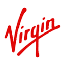V Group Inc.